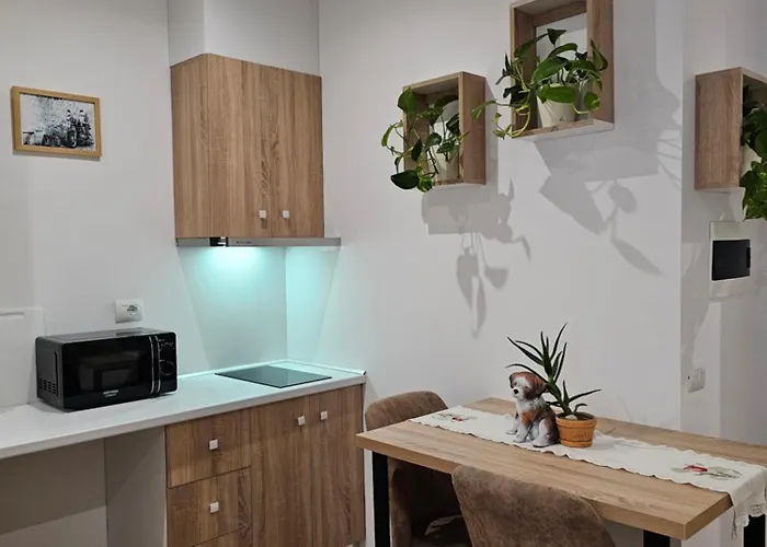 Apartment's Center Aquilo * Tirana