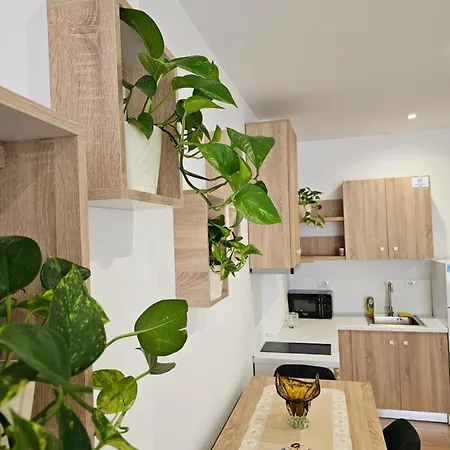 Апартаменты Apartment's Center Aquilo *